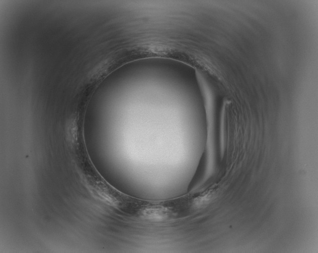 X0000074040595200608211520