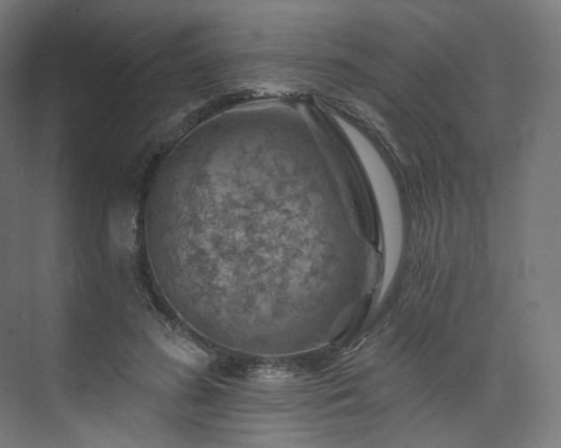 X0000074040596200608211520