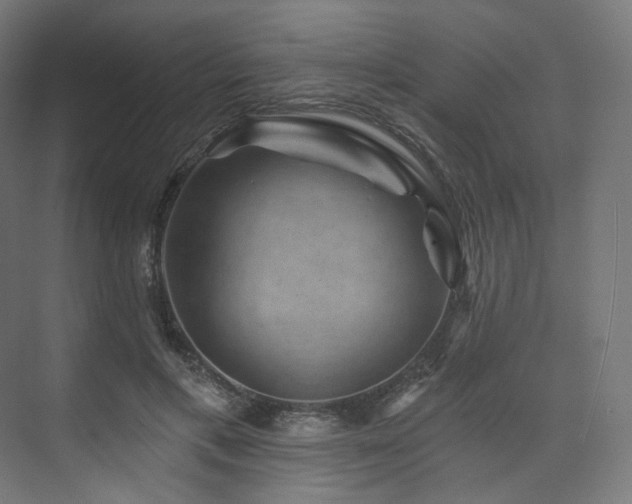 X0000074040597200608211520