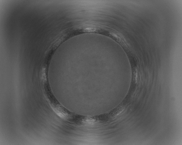 X0000074040598200608211520