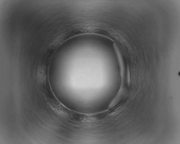 X0000074040599200608211520