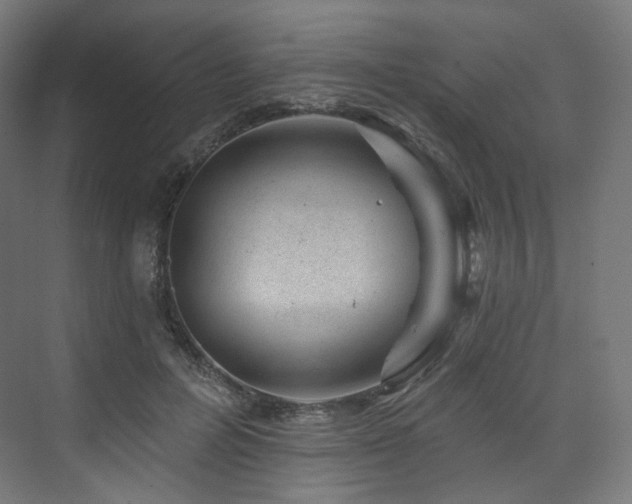 X0000074040600200608211520