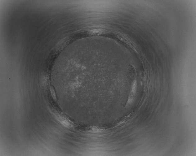 X0000074040601200608211520