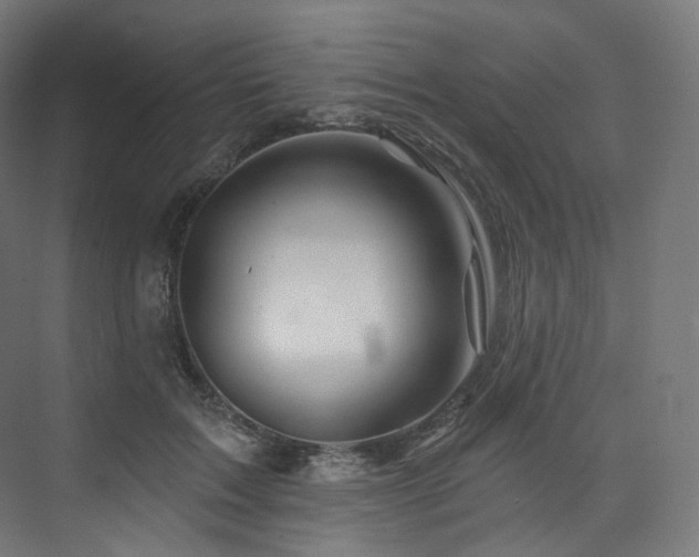 X0000074040603200608211520