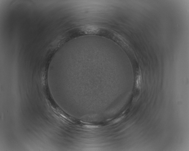 X0000074040604200608211520