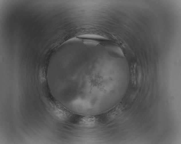 X0000074040606200608211520