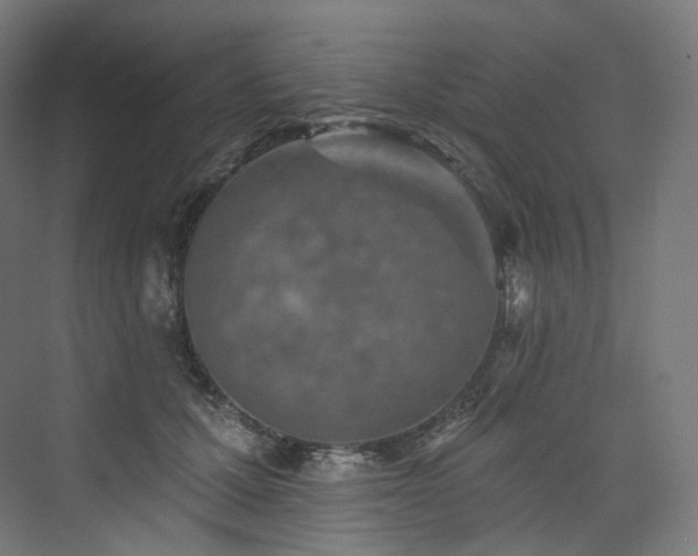 X0000074040607200608211520