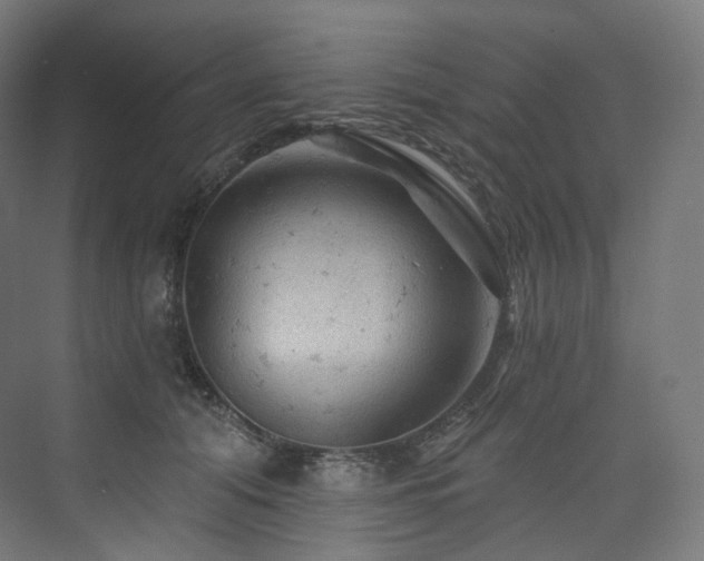 X0000074040608200608211520