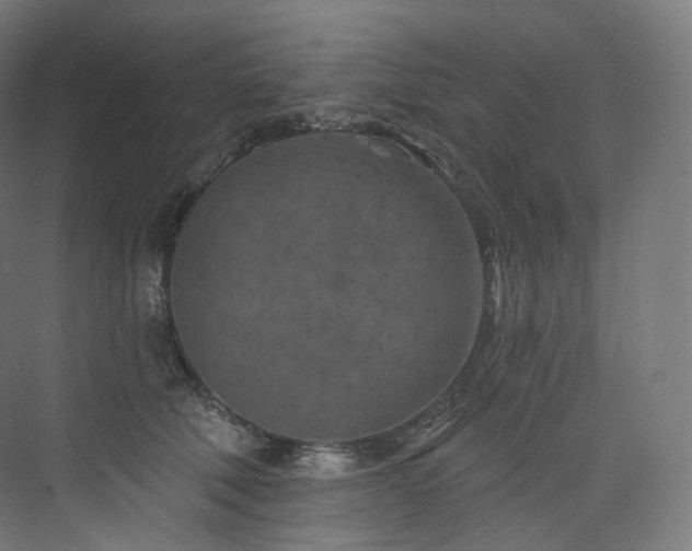 X0000074040610200608211520