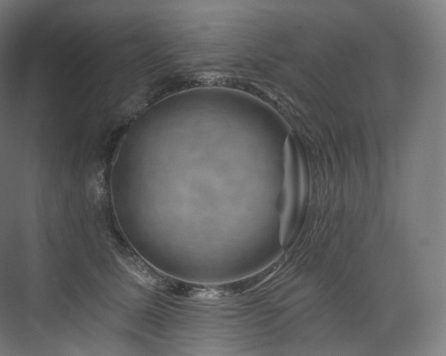 X0000074040611200608211520