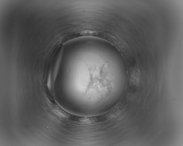 X0000074040616200608211520