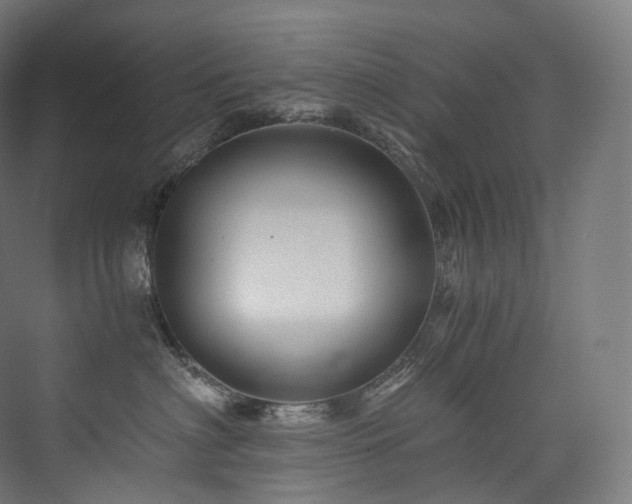 X0000074040622200608211520