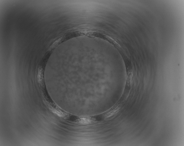 X0000074040623200608211520