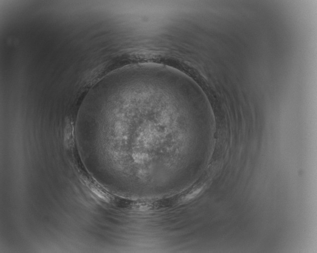 X0000074040624200608211520