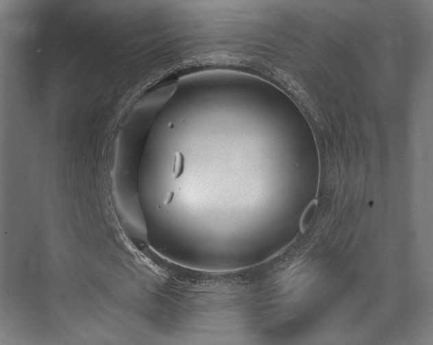 X0000074040625200608211519