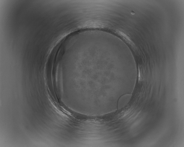 X0000074040627200608211519