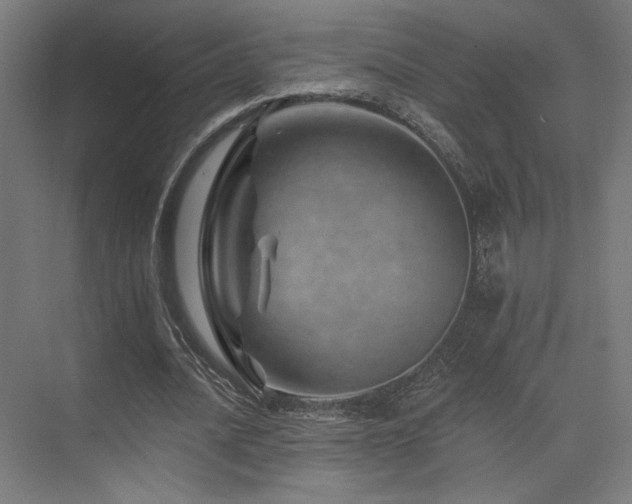 X0000074040628200608211519