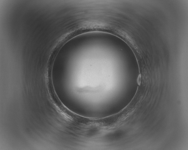 X0000074040629200608211519