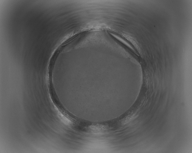 X0000074040630200608211519