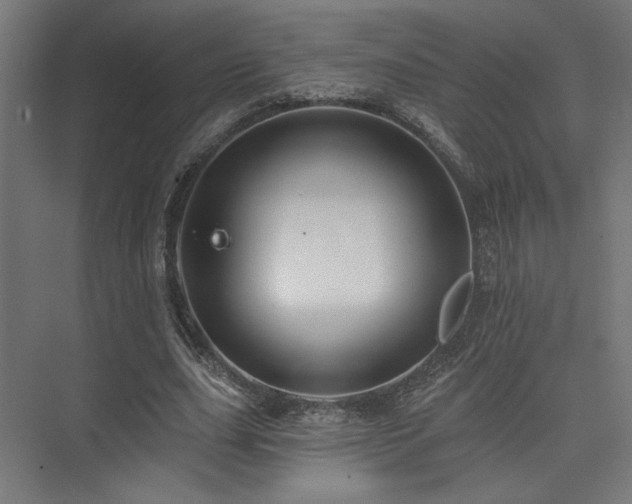 X0000074040631200608211519