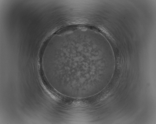 X0000074040634200608211519