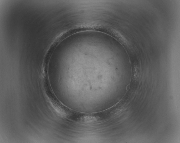 X0000074040636200608211519