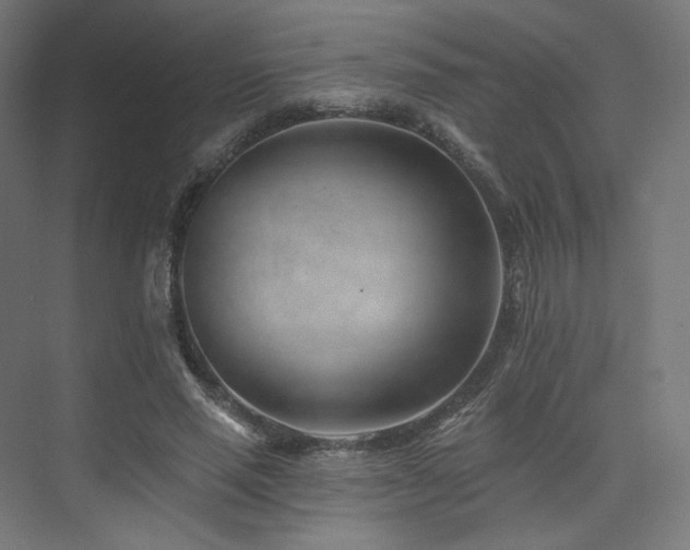 X0000074040637200608211519