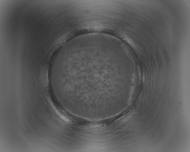 X0000074040638200608211519