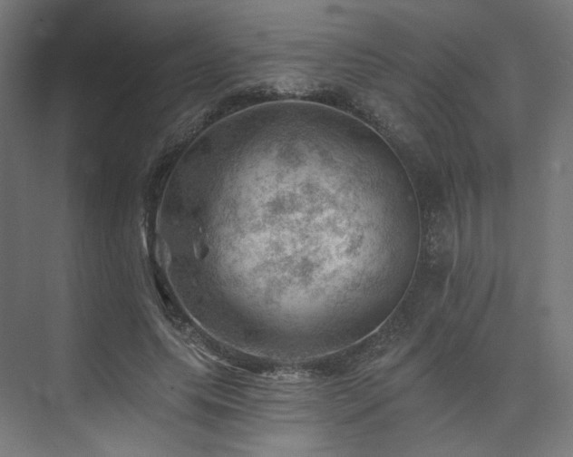 X0000074040639200608211519