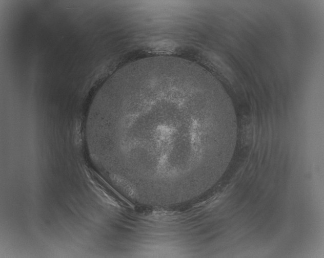 X0000074040641200608211519