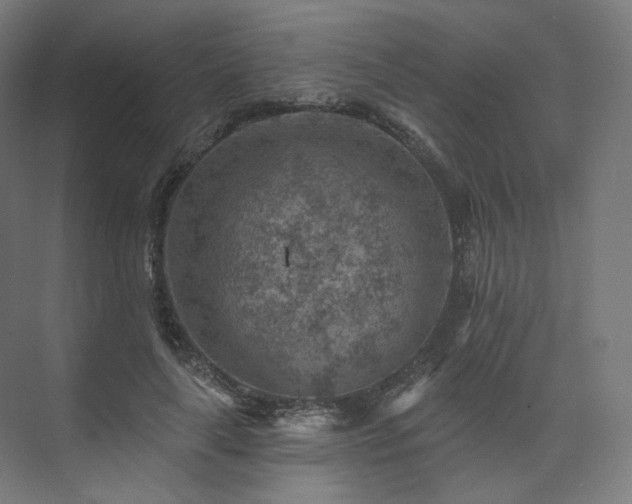 X0000074040643200608211519