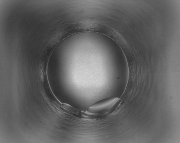 X0000074040644200608211519