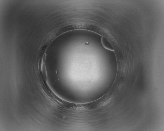 X0000074040645200608211519