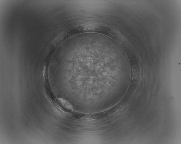 X0000074040648200608211520