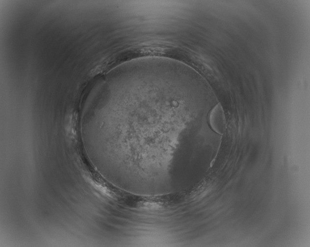 X0000074040649200608211520