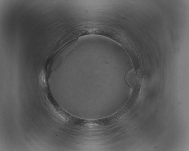 X0000074040650200608211520