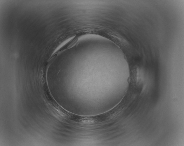 X0000074040653200608211520