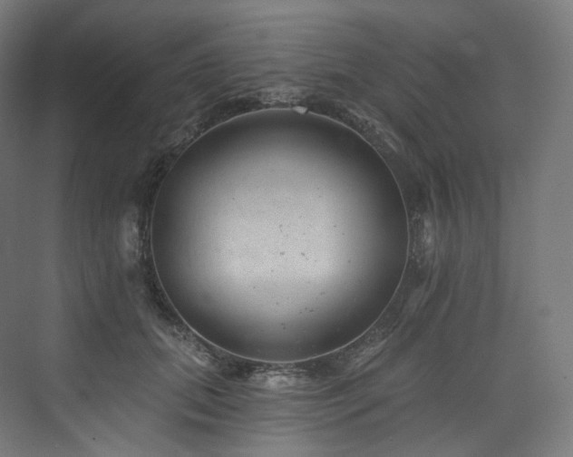 X0000074040655200608211520