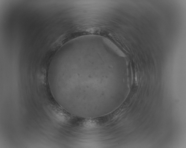 X0000074040656200608211520