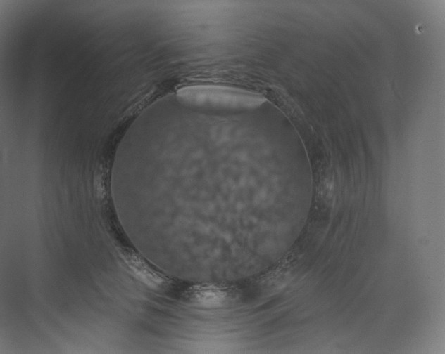 X0000074040658200608211520