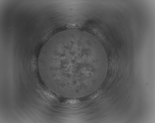 X0000074040659200608211520