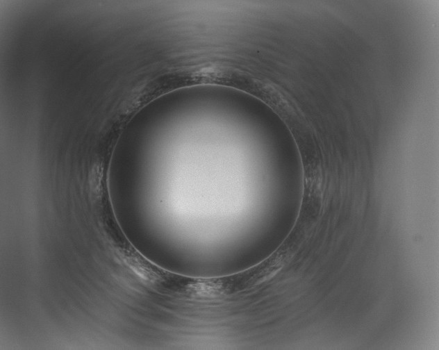 X0000074040660200608211520