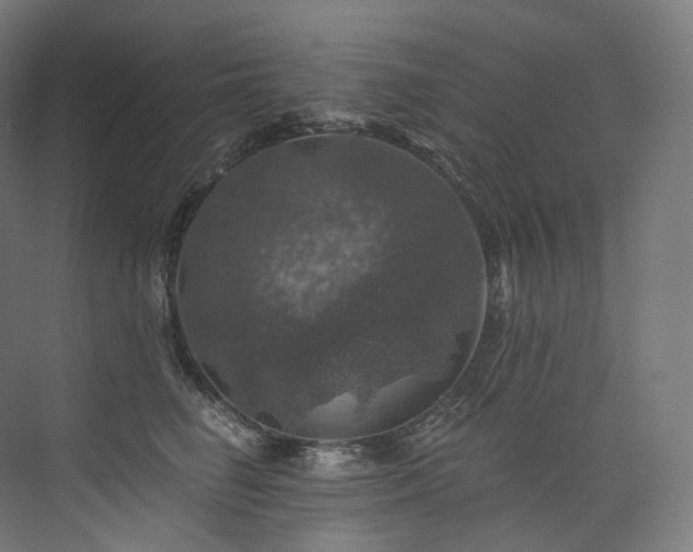 X0000074040662200608211520