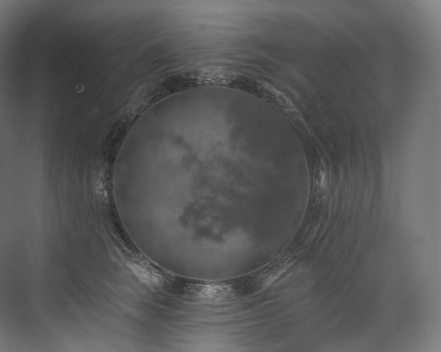 X0000074040663200608211520