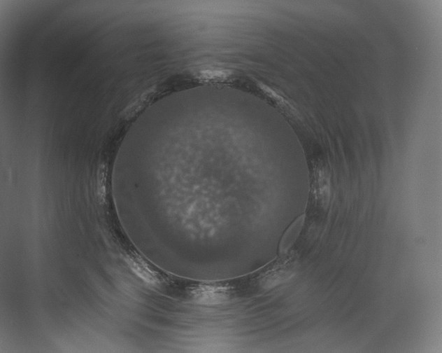 X0000074040664200608211520