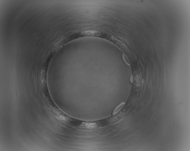 X0000074040665200608211520