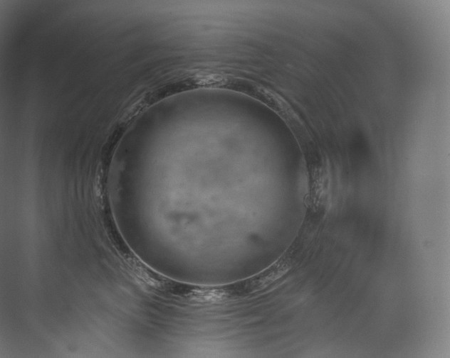 X0000074040667200608211520