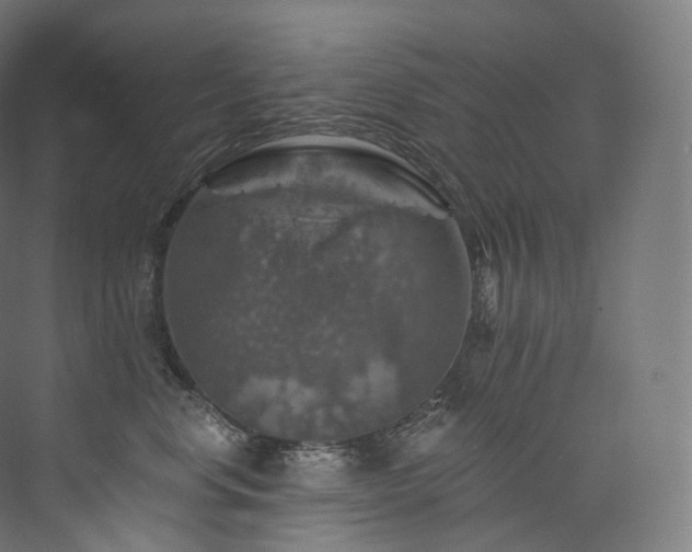 X0000074040668200608211520