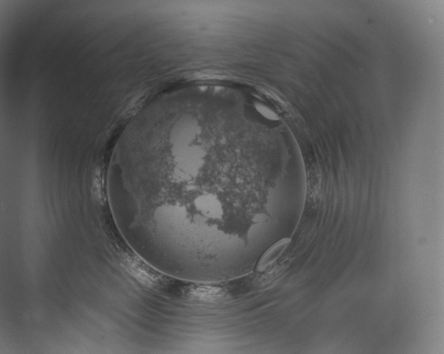 X0000074040669200608211520