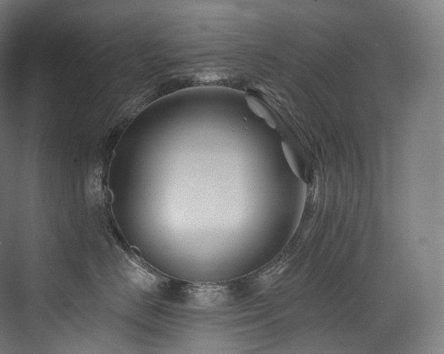 X0000074040670200608211520